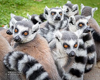 Roadtrip Hongarije 2021