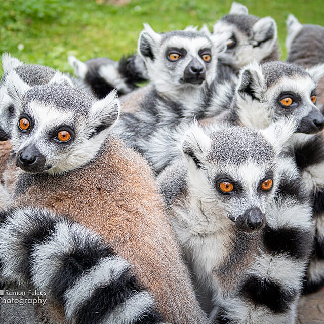 Roadtrip Hongarije 2021