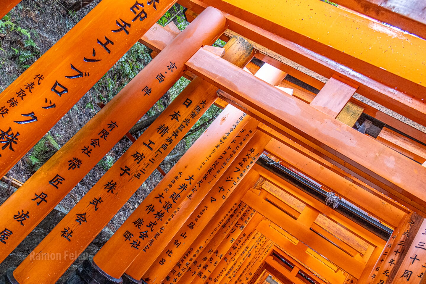 Japan - een bijzondere kennismaking