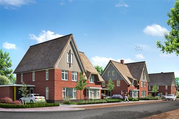Dorpsvilla's met rieten kap
