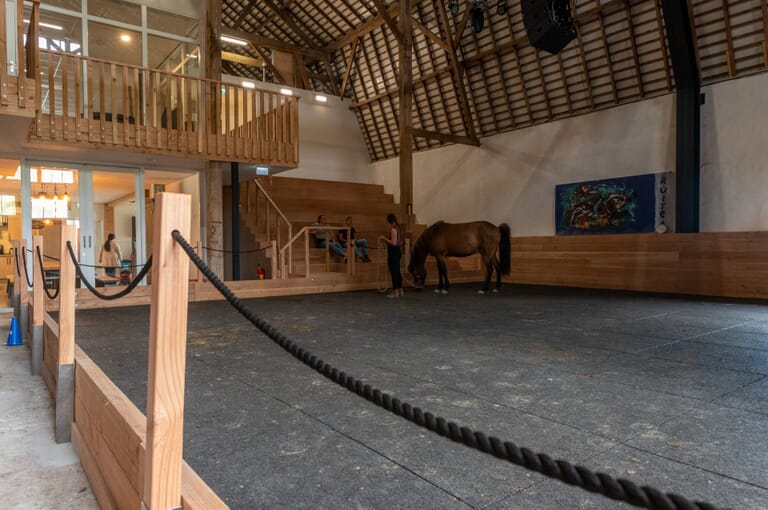 Zeeuwse Gronden Equicentrum de Kraaghoeve