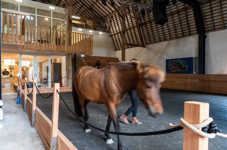 Zeeuwse Gronden Equicentrum de Kraaghoeve