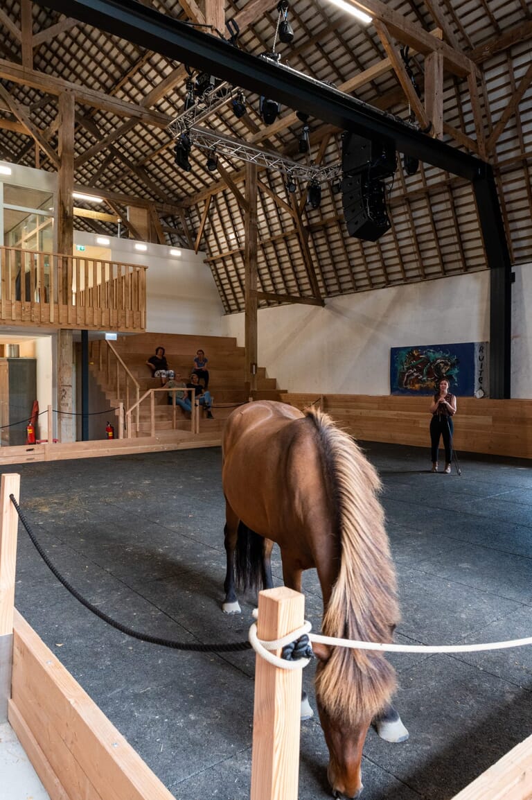 Zeeuwse Gronden Equicentrum de Kraaghoeve