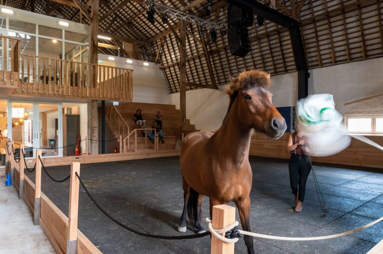 Zeeuwse Gronden Equicentrum de Kraaghoeve