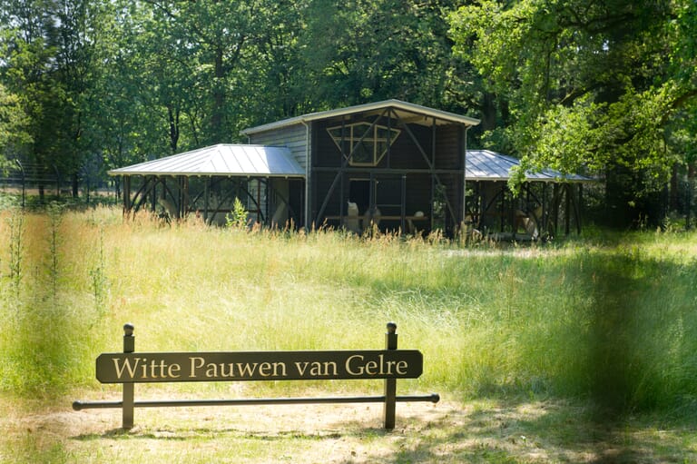 Pauwenverblijf Landgoed Staverden