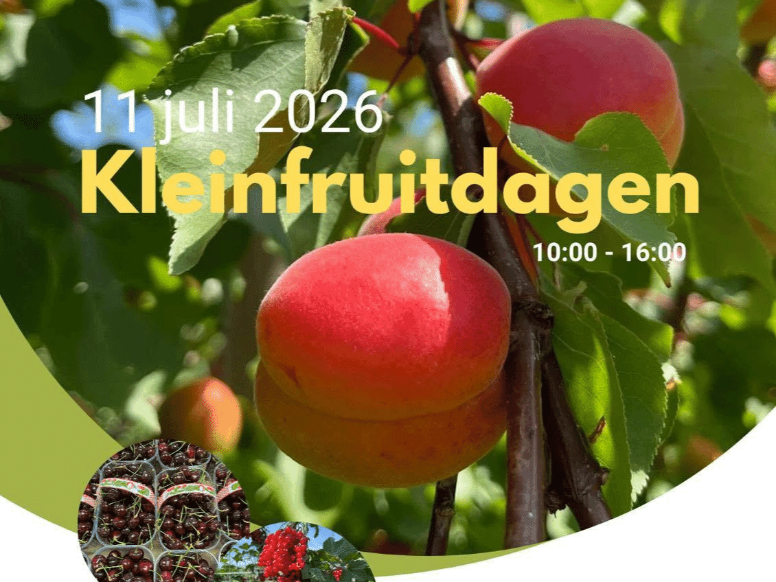 Kleinfruitdagen