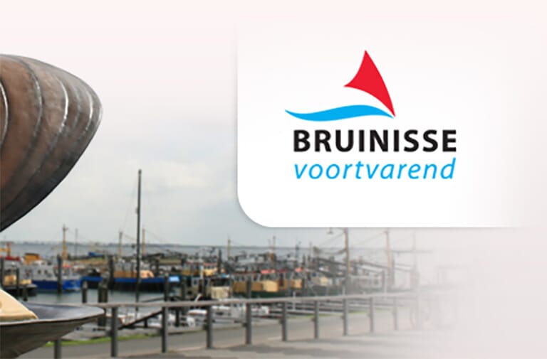 bruinisse-voortvarend-logo-dorpsraad-bruinisse