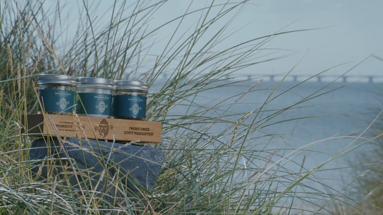 zeeuwsche-zoute-oosterschelde