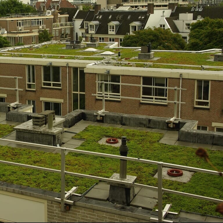 GroendakHalveWereld