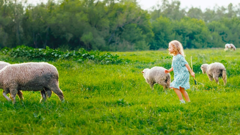 smilingandtryingtofeedsheepinsummeroutdoorshappykids.childrenarebroughtupinnature.wildchild.childrenandanimals.