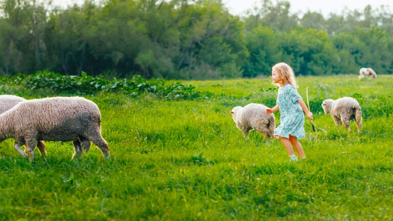 smilingandtryingtofeedsheepinsummeroutdoorshappykids.childrenarebroughtupinnature.wildchild.childrenandanimals.