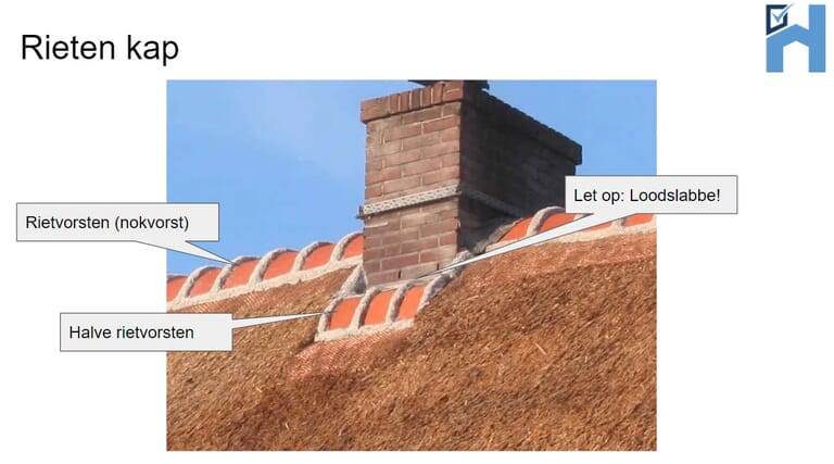 rieten-kap.png