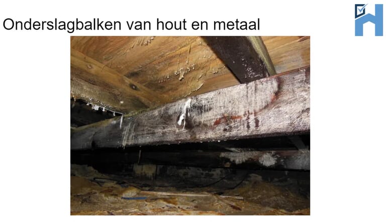 onderslagbalk-en-zwam.png
