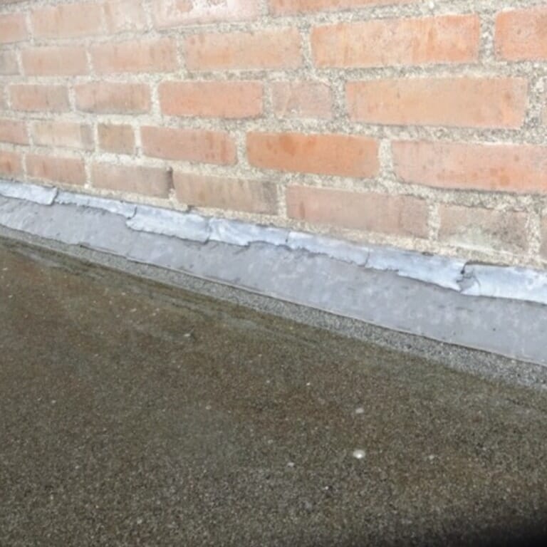 WhatsApp Image 2026-02-12 at 08.51.37