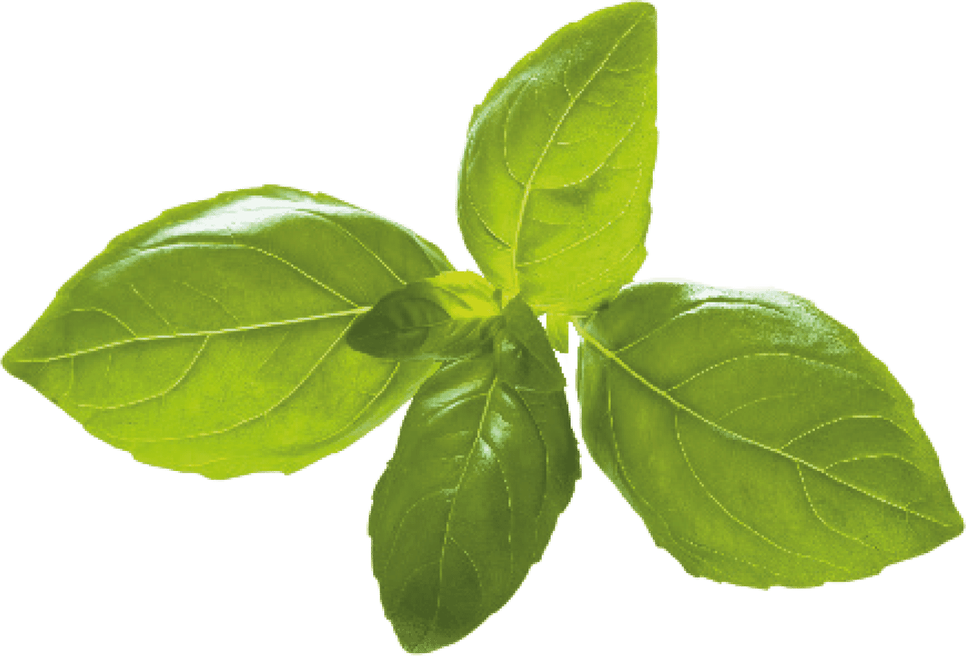 Hoogerbrug Catering | Maatwerk Catering | Culinaire Beleving