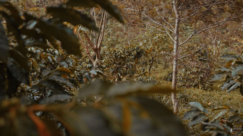 Still2025-09-09140346_3.2.1