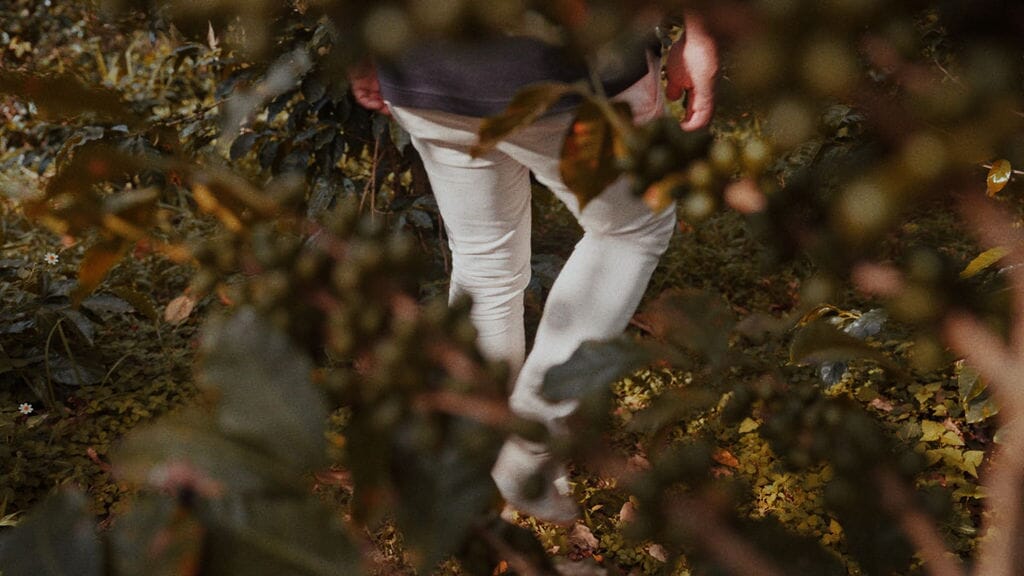 Still2025-09-09140346_3.1.1