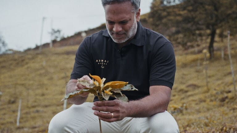 Still2025-09-09140346_3.3.2-mirrored