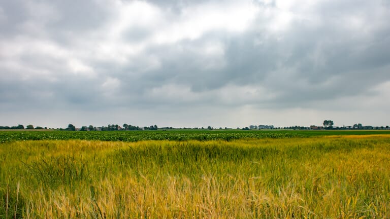 Wandelen door de polder