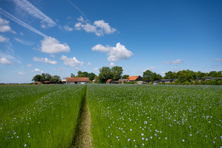 Herstel- en vitaliteitsverblijf