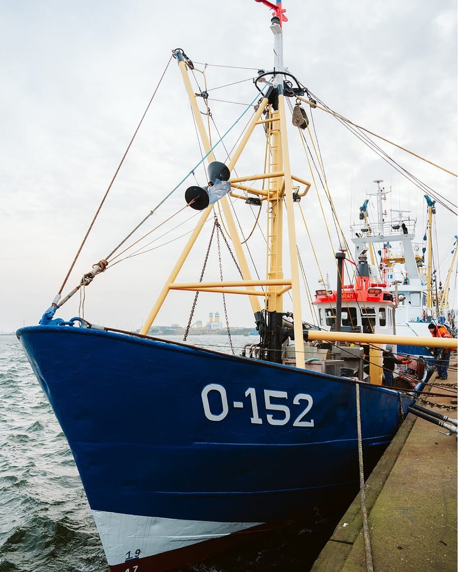 Geplaatst door {{ $post->username }}