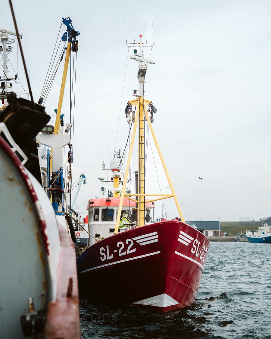 Geplaatst door {{ $post->username }}