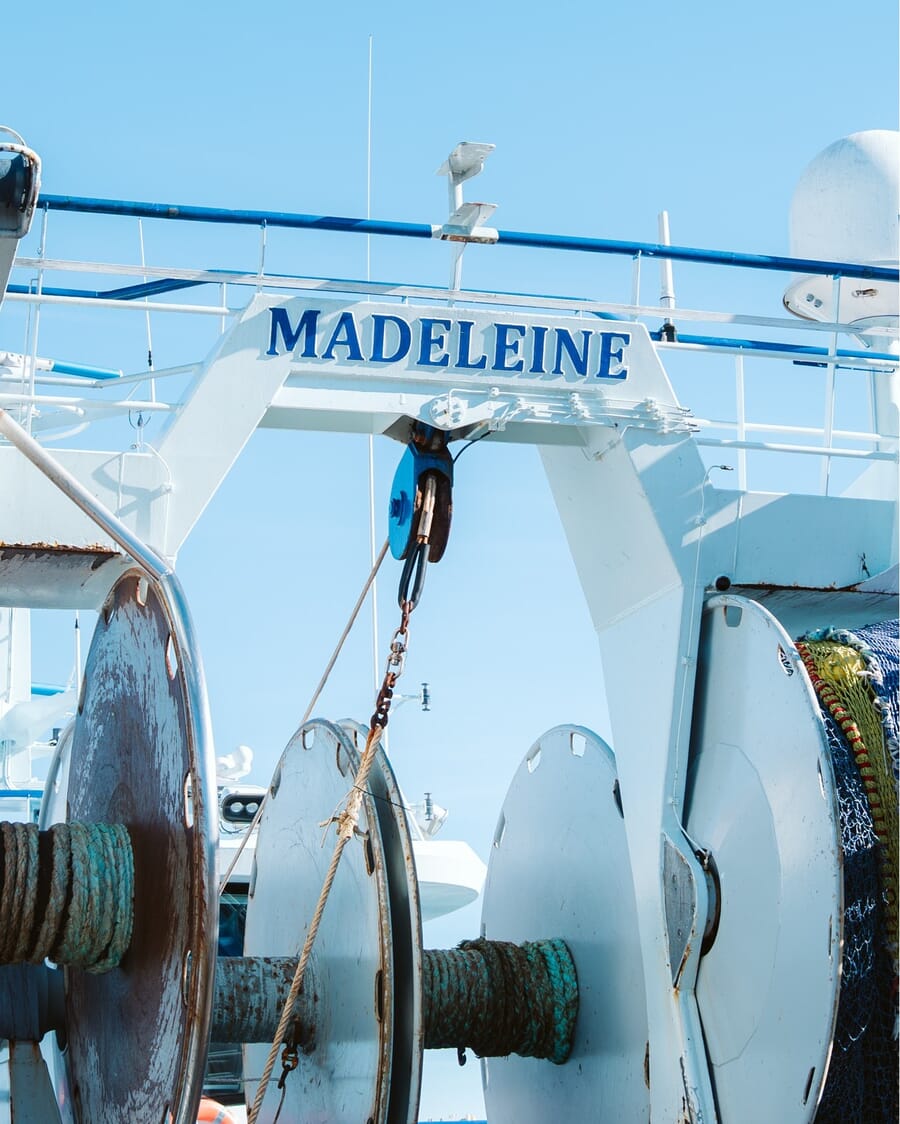 Posted by {{ $post->username }}