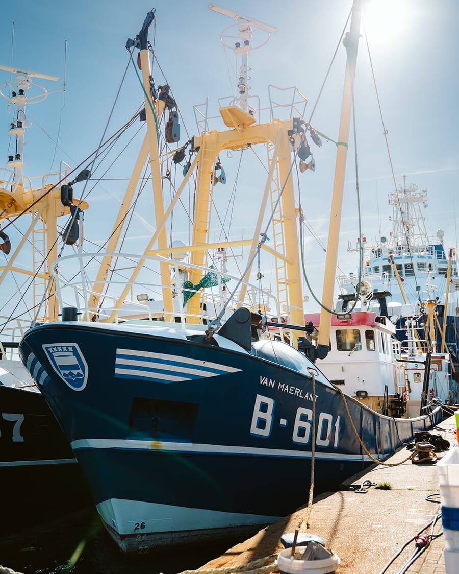 Geplaatst door {{ $post->username }}