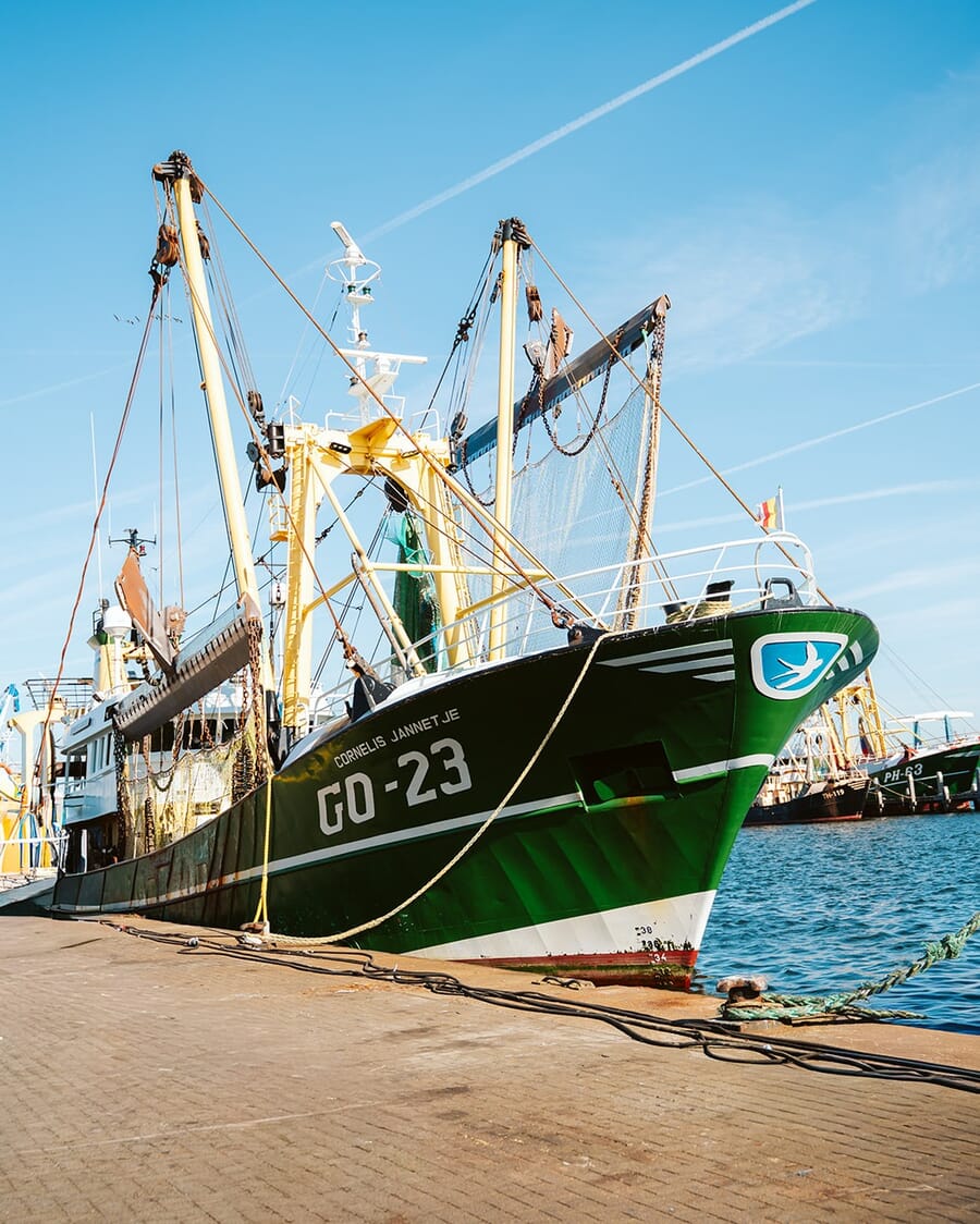 Geplaatst door {{ $post->username }}