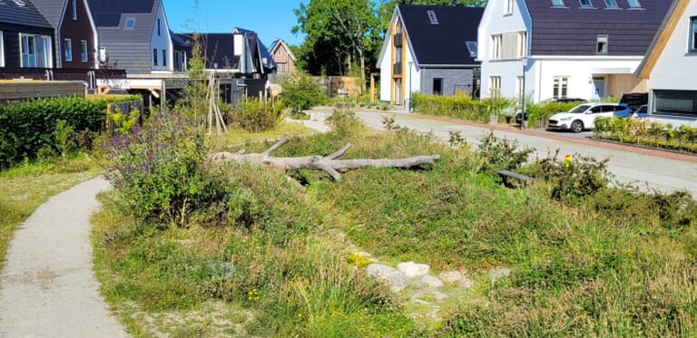 Claverveld wint Zeeuwse Architectuurprijs 2025