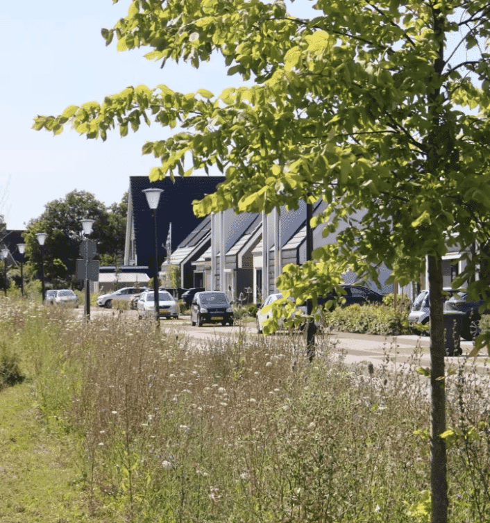 Vakjury Zeeuwse Architectuurprijs