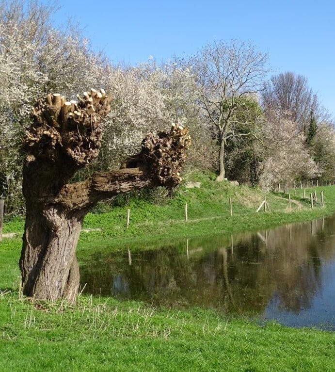 Kasteelterrein Troje