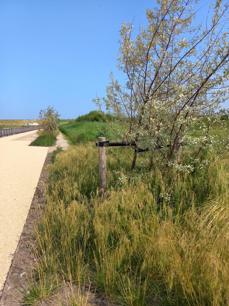 Naadloze overgang naar natuurlijke omgeving