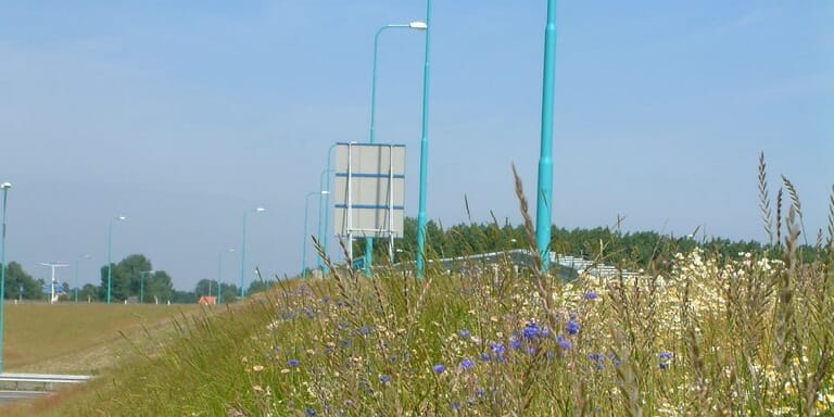 Westerscheldetunnel tracé