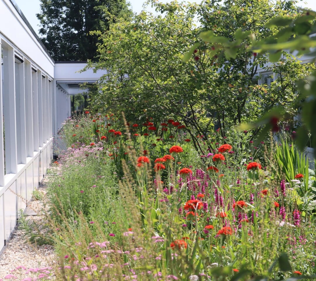 Bloemrijke binnentuin De Saele