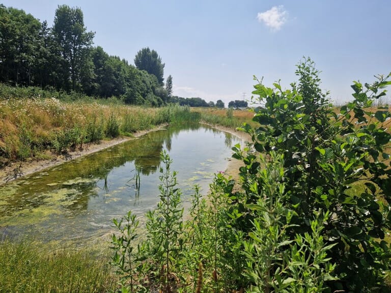 Natuurontwikkeling