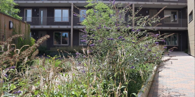 Appartementencomplex De Leeuwerik