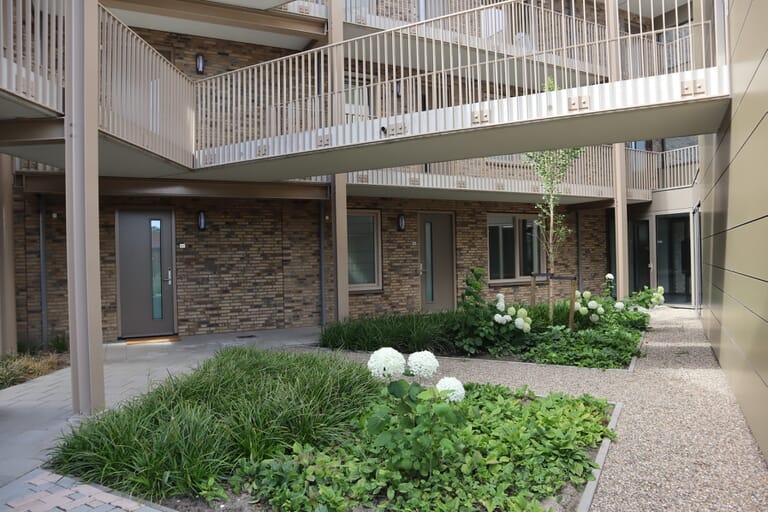 Harmonieuze uitstraling