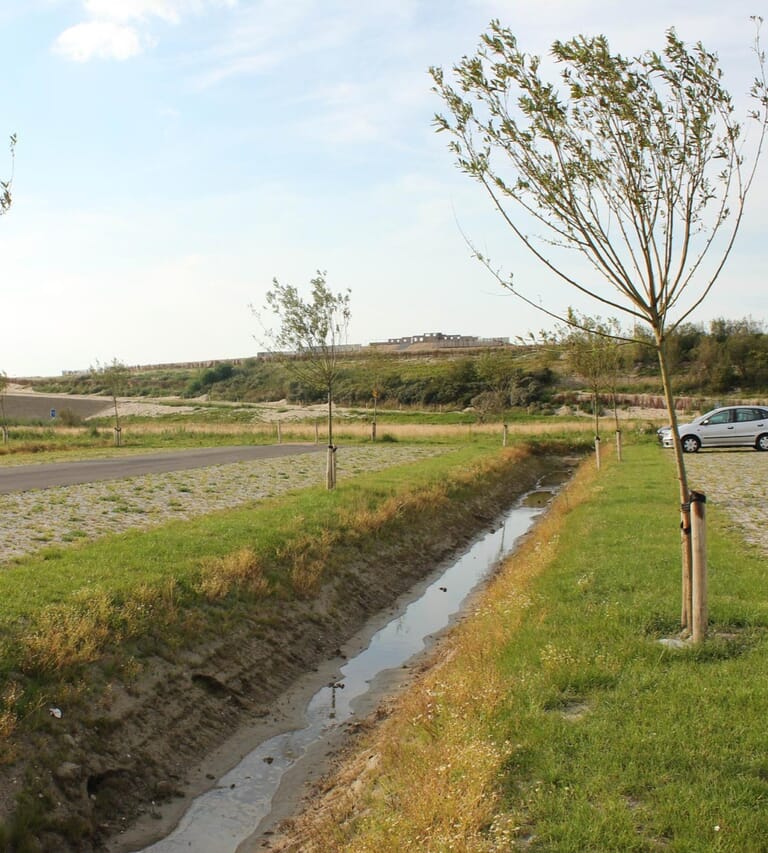 Randzone Waterdunen