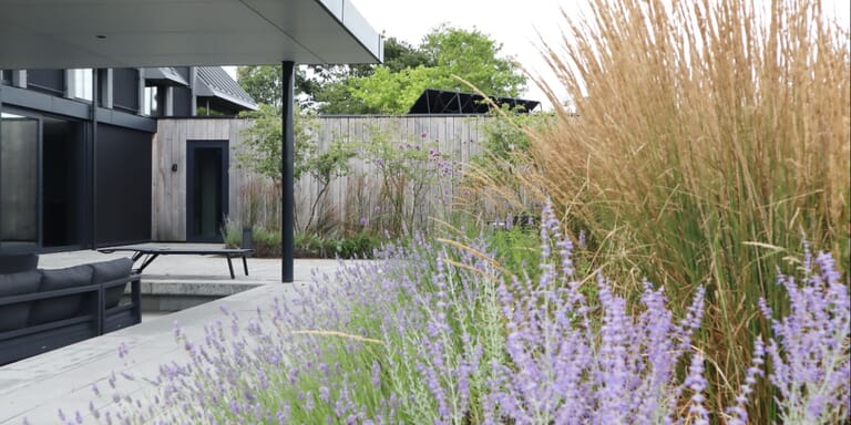 Particuliere landschapstuin