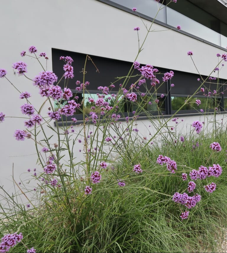 Particuliere landschapstuin