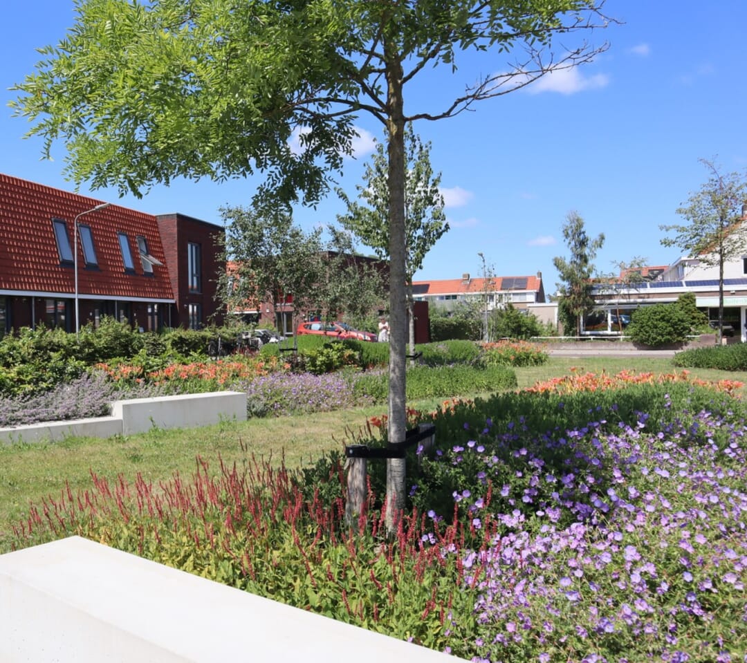 Groenplan Pasteurstraat