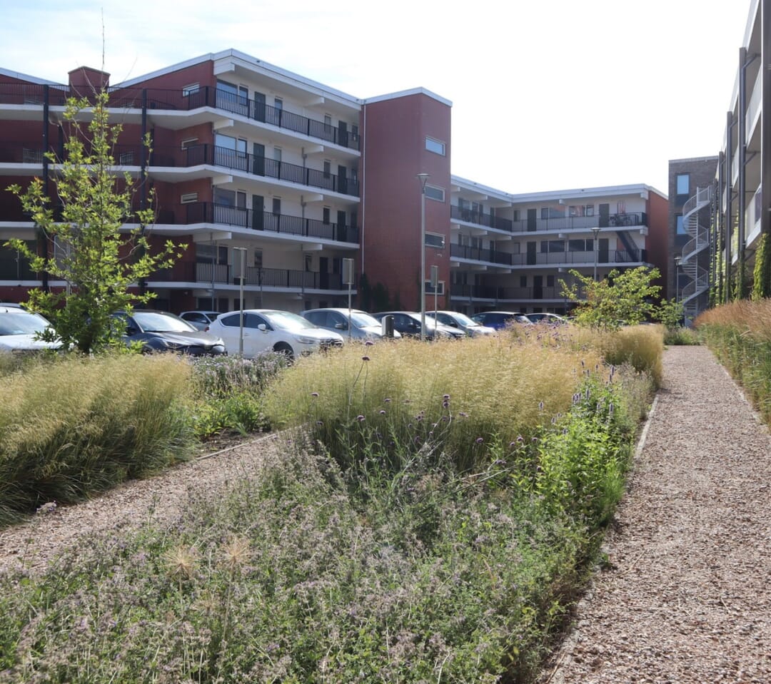 Buitenruimte appartementencomplex De Dempo