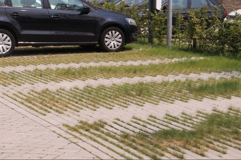 Ruimte en Groen