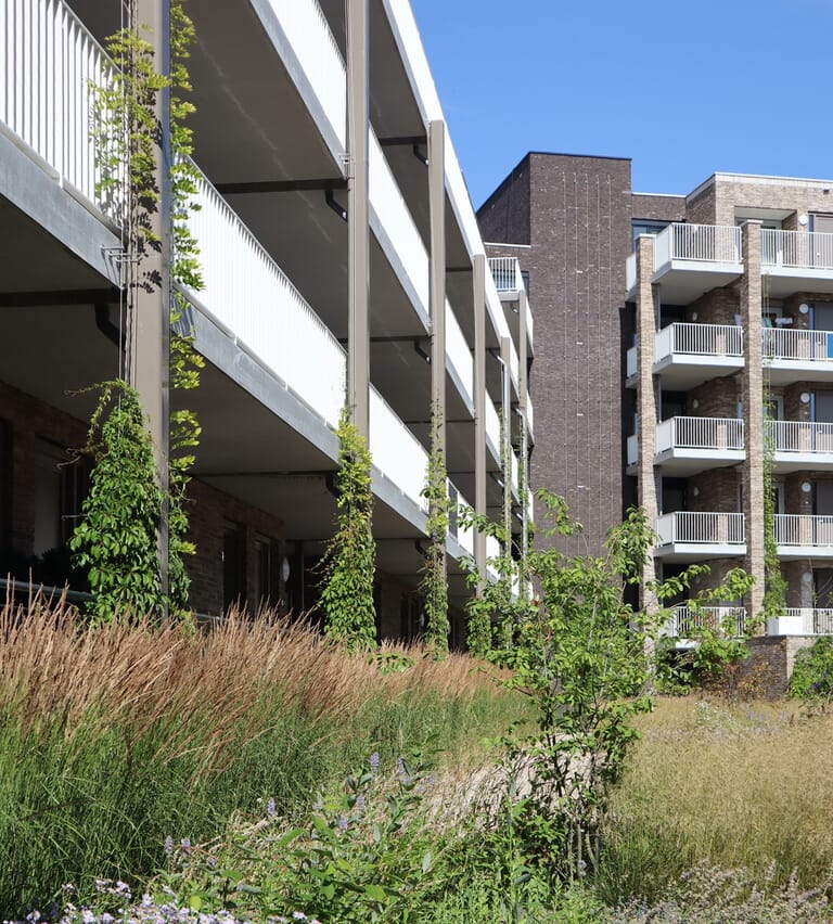 Buitenruimte appartementencomplex De Dempo