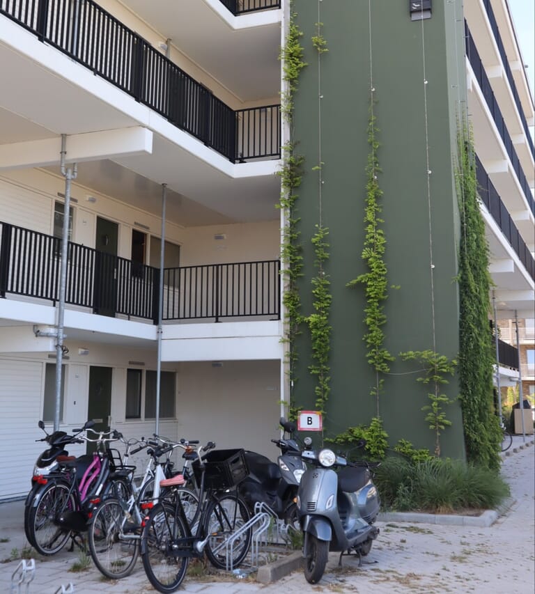 Buitenruimte appartementencomplex De Dempo
