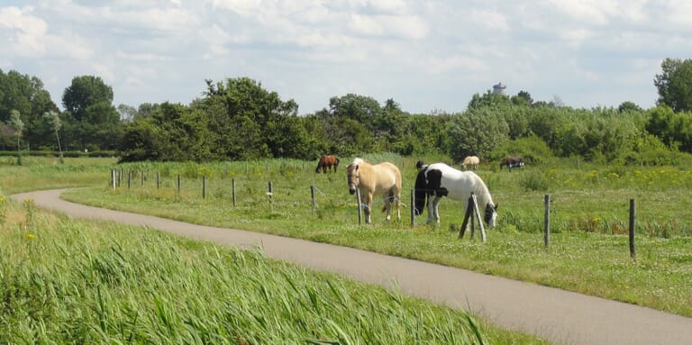 Bos- en natuurgebied Walcheren