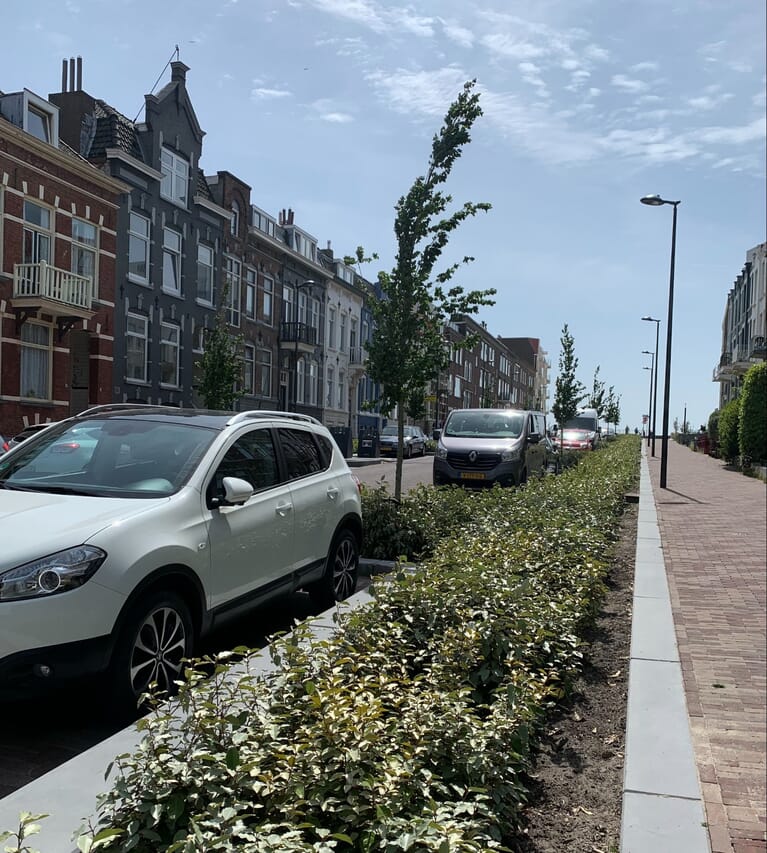 Coosje Buskenstraat Vlissingen