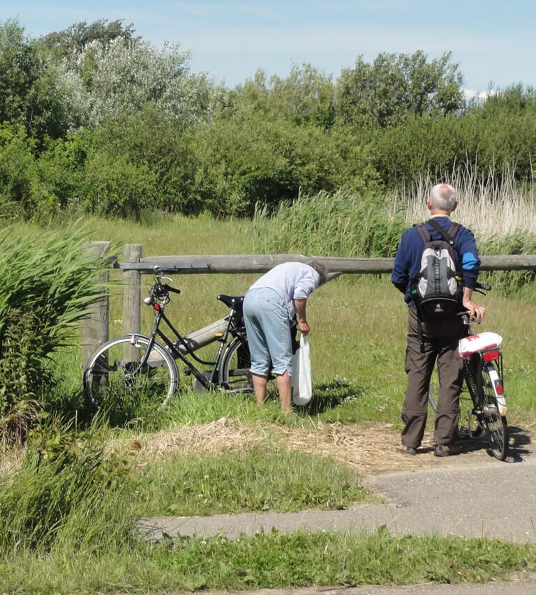 Bos- en natuurgebied Walcheren