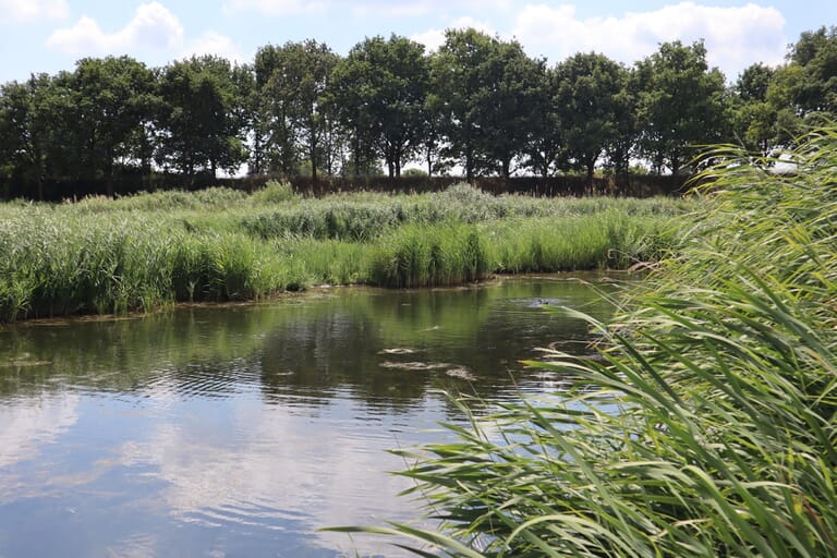 Waterpartijen